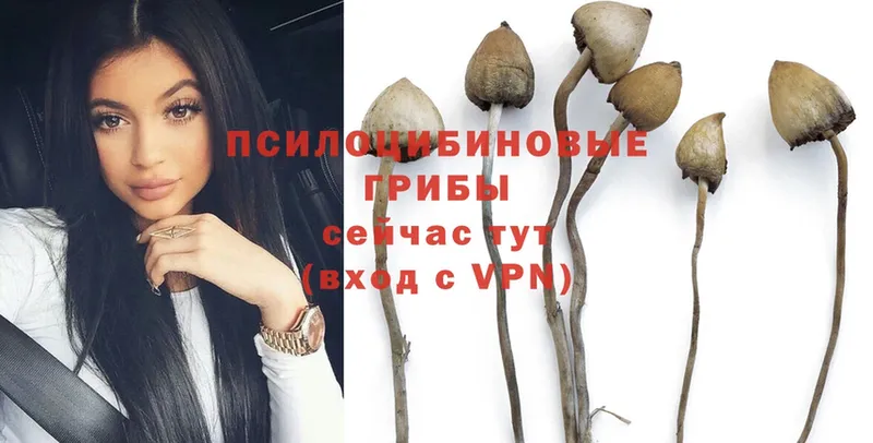 кракен как зайти  площадка формула  Псилоцибиновые грибы Magic Shrooms  цена наркотик  Орлов 